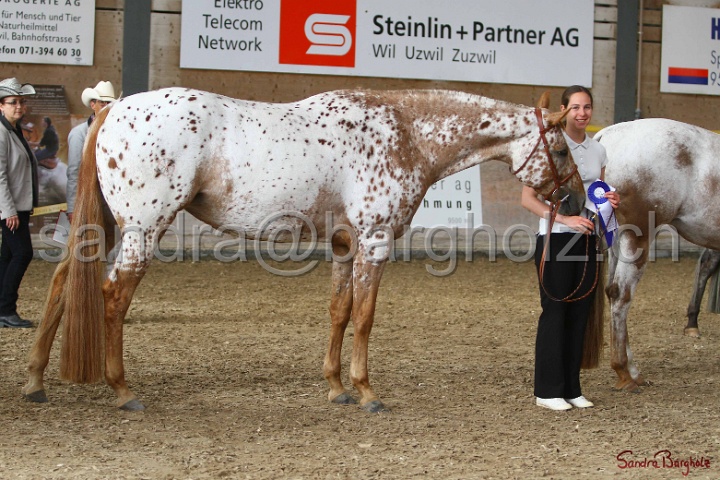 24-ApHC HIH_065.jpg